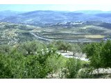 Site of Samaria